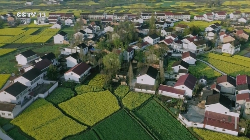 24小时 《24小时》 20250103