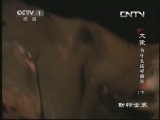 动物世界 《动物世界》 20130608 大象为什么这样疯狂（下）