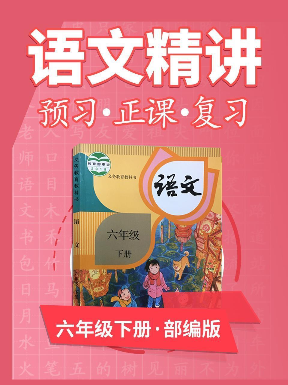 部编版语文 六年级下册  语文精讲