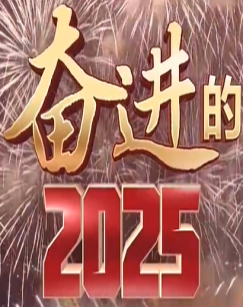 奋进的2025 海报