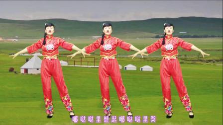 一夜爆红民歌《泪蛋蛋都为情哥哥流》秧歌舞，欢迎你