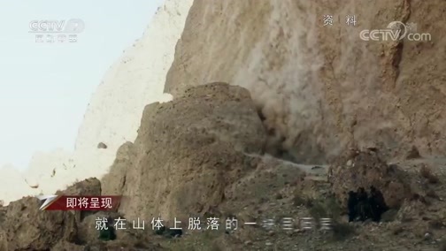 军事纪实 《军事纪实》 20200507 武警特别行动实录