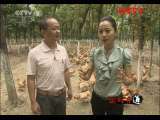 生财有道 《生财有道》 20111021 生生不息的财富路