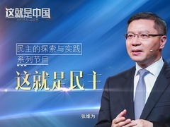 这就是中国 这就是民主