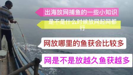 南澳岛赶海日记 出海放网捕鱼是不是网放越久渔获越多，来听彪哥怎么说，彪哥的捕鱼课堂