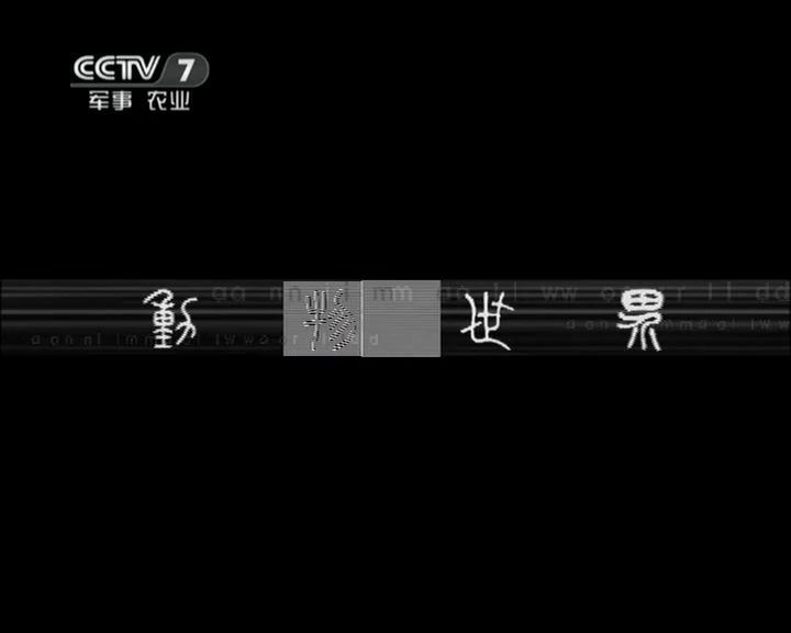 动物世界 《动物世界》 20120510