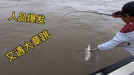阿杰赶早潮又遇大章跳，巨大的拉力差点把阿杰拉下水，又是1000多