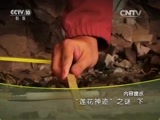 地理中国 《地理中国》 20160430 “莲花神迹”之谜（下）
