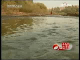 民歌&middot;中国 恰哈尔尕