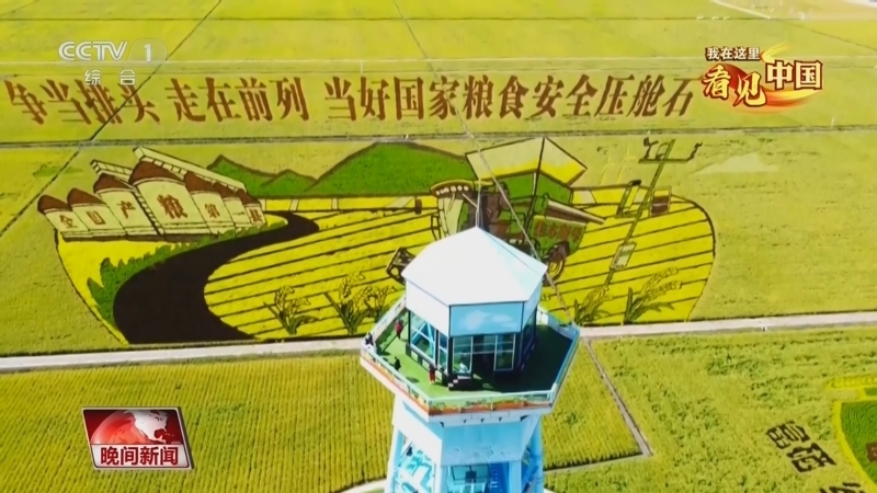 晚间新闻 《晚间新闻》 20241009