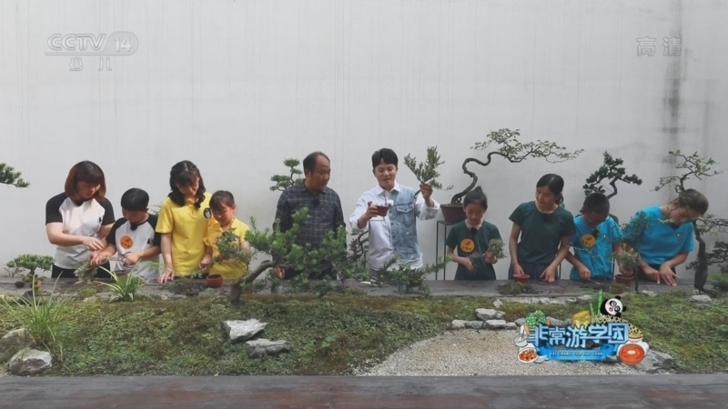 动感特区 《动感特区》 20221201 非常游学团 幸福诗篇——美丽乡村