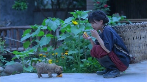 李子柒古香古食 结结实实来一顿豌豆凉粉