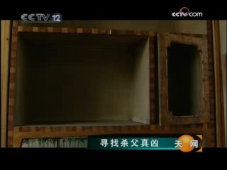 天网 寻找杀父真凶