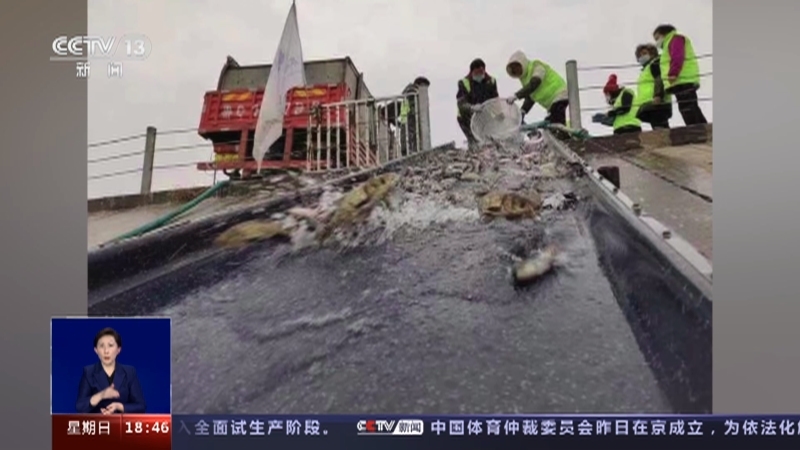 共同关注 《共同关注》 20230212