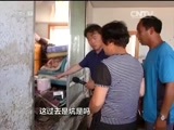 焦点访谈 《焦点访谈》 20170725 吉林：灾后重建进行时