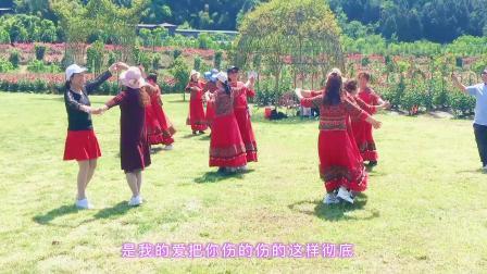 《来生再去拥抱你》一只舟情歌，愿每份缘分都不再错过