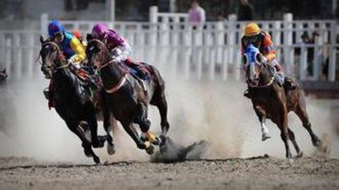 乐活好正点 赛马会街拍