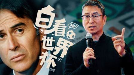 白看世界杯 白岩松：足球的世界 谁是老大？