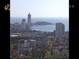 山东新闻联播 《山东新闻联播》 20150514