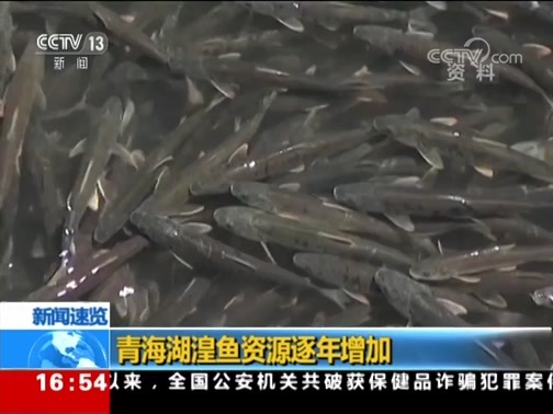 新闻直播间 《新闻直播间》 20181220 16:00