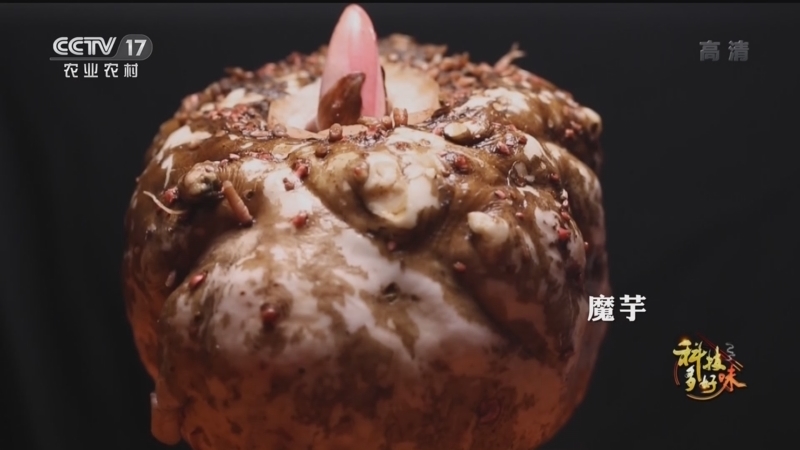 致富经 《致富经》 20221024 科技多好味 魔芋的新魔力