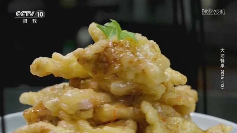 《探索·发现》 20260221 大地餐桌2026（10）