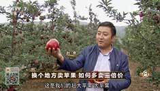 致富经 [致富经]换个地方卖苹果 如何多卖三倍价 20161108