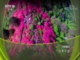 地理中国 《地理中国》 20171226 四季中国·炙阳润雨