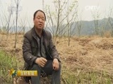 生财有道 《生财有道》 20160524 浙南畲族村：生态变迁带来新财路