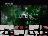 地理中国 地理中国 2011年 第50期 硅化木传奇
