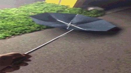 猿创精选 这是一把高科技雨伞 卖家说打开后有惊喜 105