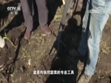 我爱发明 《我爱发明》 20180618 甜园能手
