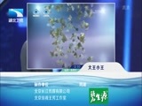 大王小王 《大王小王》 20150812 毕业 我们该不该分手