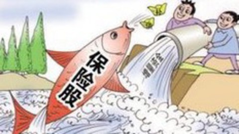 天生我财 最华丽的爆发 保险版块