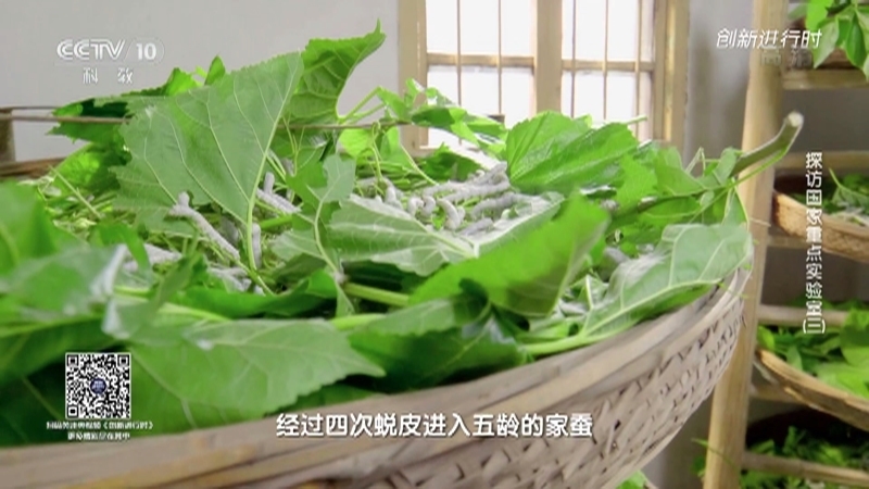 《创新进行时》 20210503 探访国家重点实验室（三）