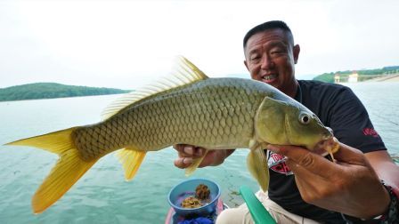 游钓中国 第三季 第21集 转战湖北探钓石门水库 单子线作钓凸显奇效