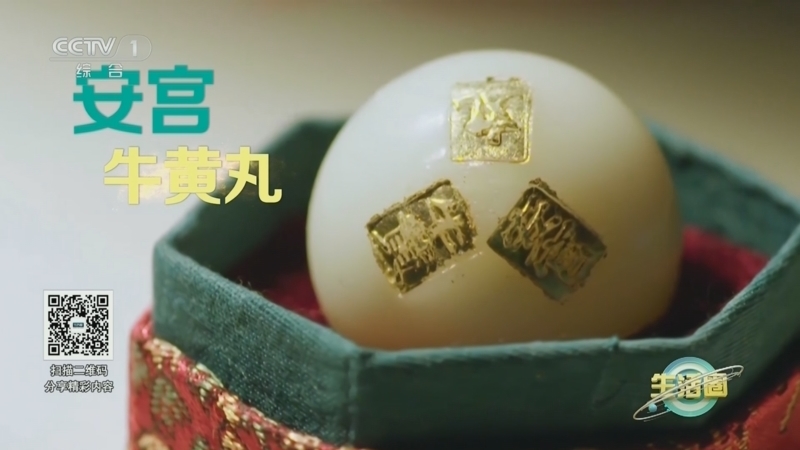 生活圈 《生活圈》 20230731