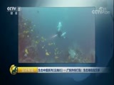 生财有道 《生财有道》 20170821 生态中国系列（沿海行）——广东外伶仃岛：生态海岛宝贝多