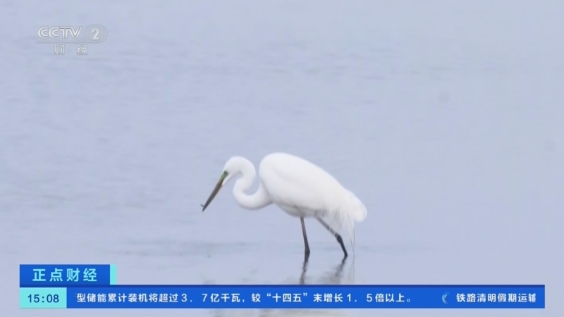 《正点财经》 20260403 15:00