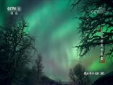 动物世界 《动物世界》 20180210 雪鸮的风中芭蕾