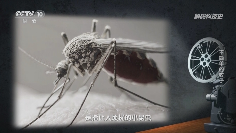 解码科技史 《解码科技史》 20230718 不简单的蚊子