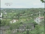 地理中国 《地理中国》 20130901 会“变脸”的古井（下）