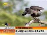 新闻夜总汇 《新闻大通道》 20161026