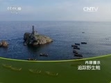 走近科学 《走近科学》 20160302 追踪野生鲍