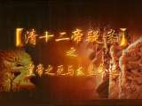 百家讲坛 清十二帝疑案答疑（五） 皇帝之死与太监命运