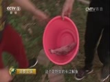 消费主张 《消费主张》 20170814 中国夜市全攻略（武汉篇）