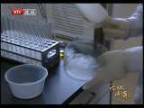 为你而歌 《为你而歌》第八部 2010-07-10