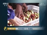 消费主张 《消费主张》 20171009 丰收的果园（一）：河北唐山