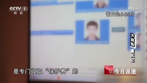 今日说法 《今日说法》 20181107 “大鲨鱼”覆灭记