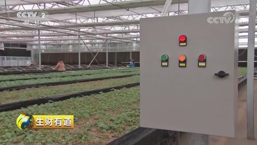 生财有道 《生财有道》 20190313 话说获得感 山西岚县：土豆变成金蛋蛋 说不完的获得感